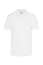Camisa Tipo Polo Personalizada (Bordado / DTF)